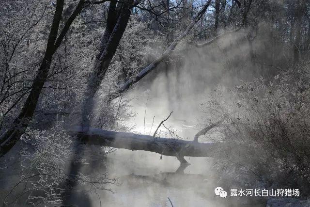 有哪些是造成湿疹的根本原因?