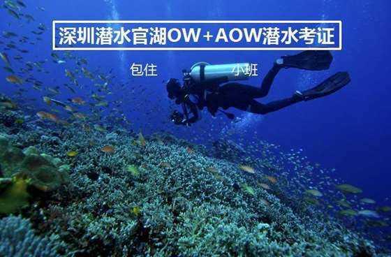 吕梁师范高等专科学校主要领导